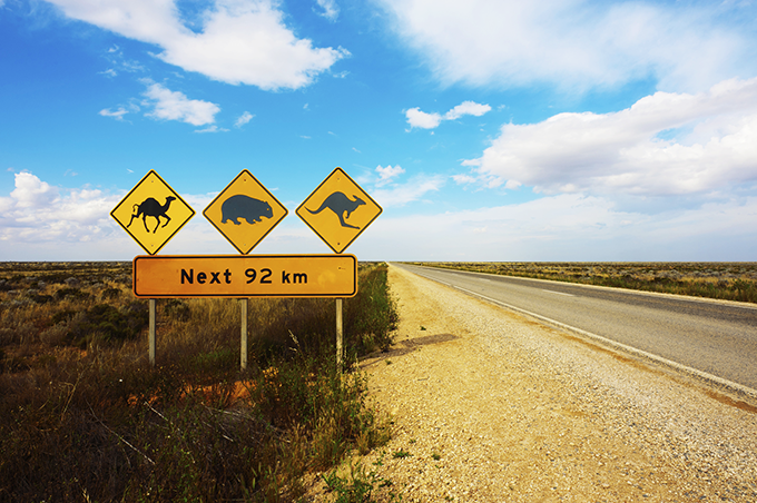 Planicie de Nullarbor
